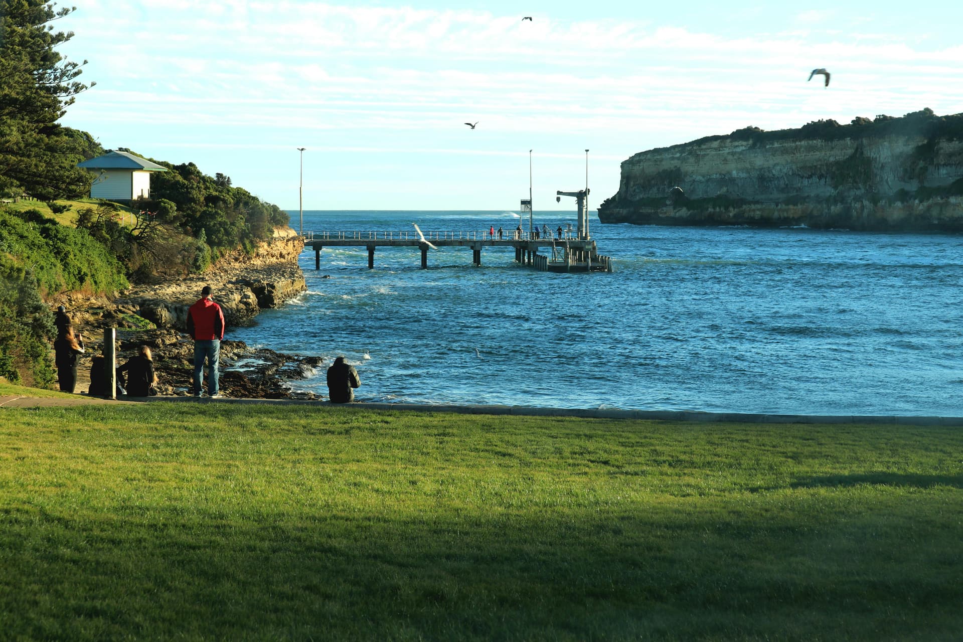 "Geelong"